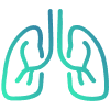 Pulmonology